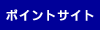 �|�C���g